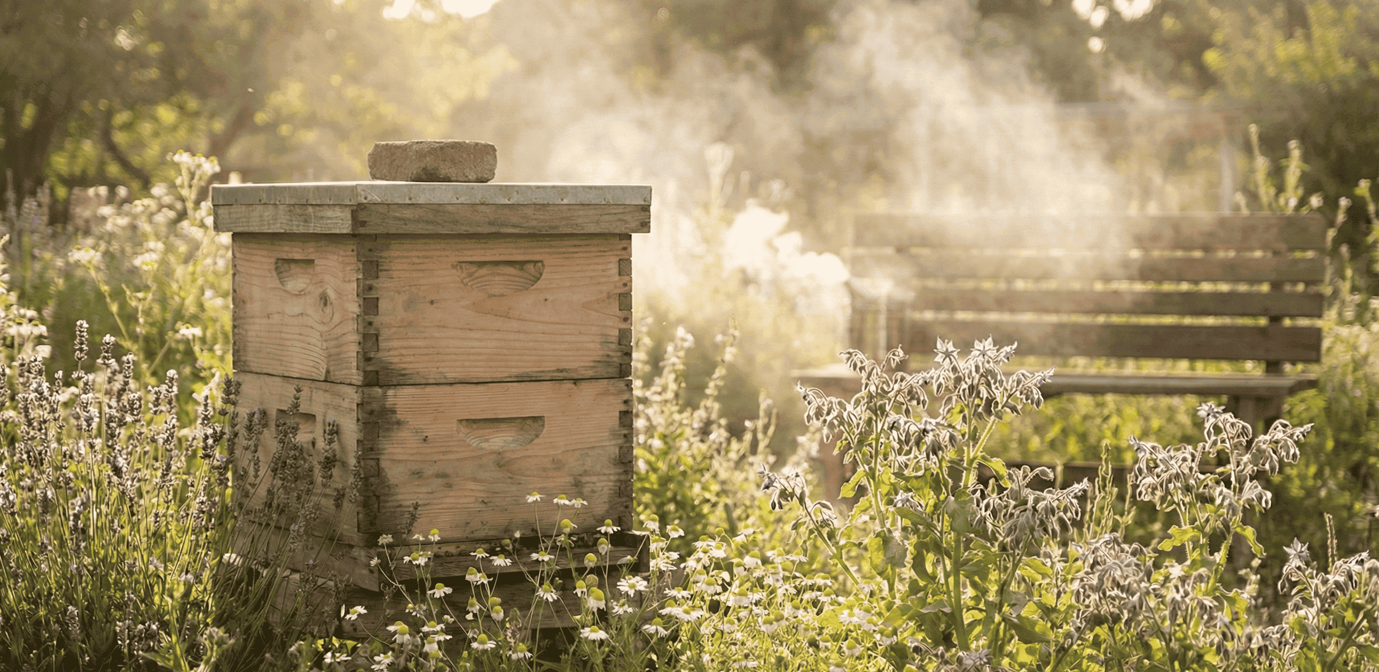 Santuario de Abejas